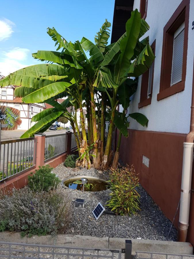 Marielies-Urlaubsstube Apartment Meissenheim Bagian luar foto